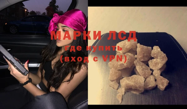 гашик Дмитров