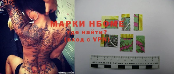 гашик Дмитров