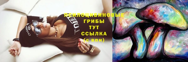 тгк Дмитровск