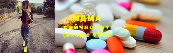 гашик Дмитров