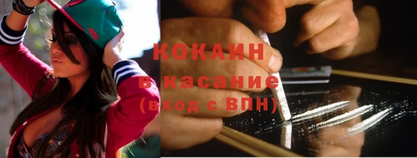 тгк Дмитровск