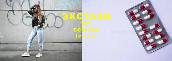 гашик Дмитров