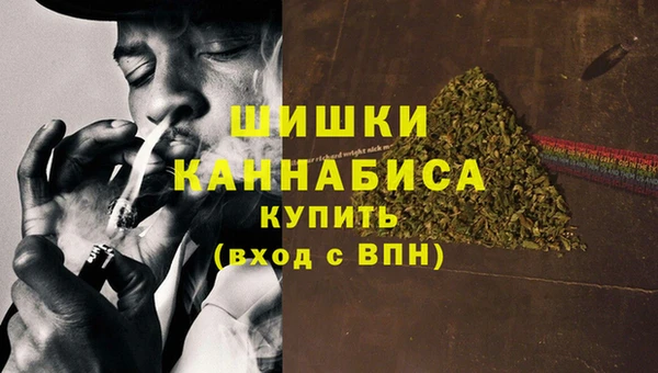 гашик Дмитров