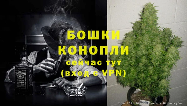 кокс Дмитриев