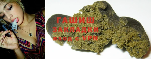 гашик Дмитров