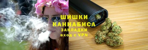 гашик Дмитров