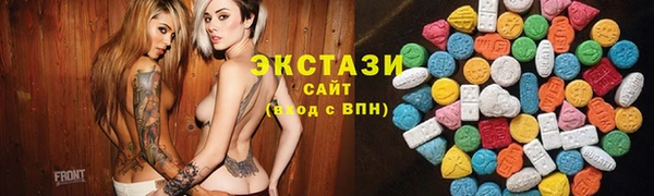 гашик Дмитров